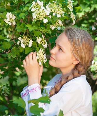 Ой цветет калина аккорды